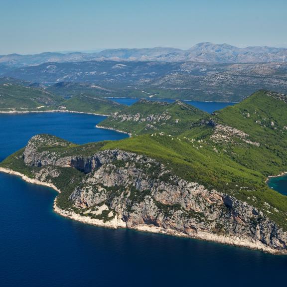 Un ponte tra tre Paesi per tutelare la biodiversità del Sud Adriatico 