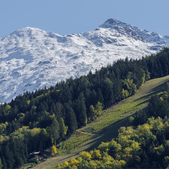 Siamo al fianco di Regione Lombardia per integrare la sostenibilità ambientale nel FEASR