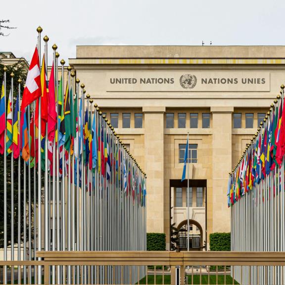 Lattanzio KIBS pubblica il CoP 2026