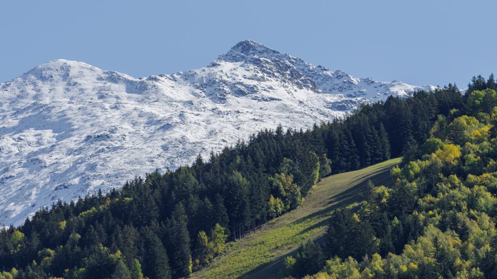 Integrare la sostenibilità ambientale nella programmazione FEASR 2023-2027