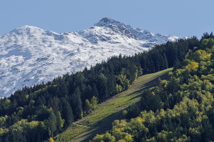 Integrare la sostenibilità ambientale nella programmazione FEASR 2023-2027