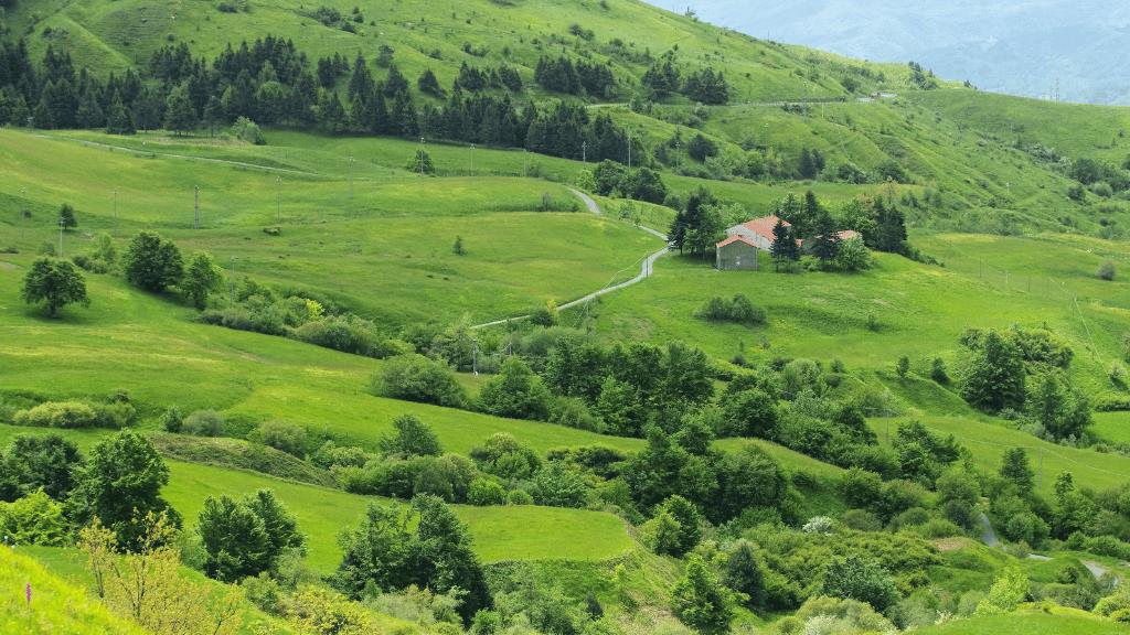 Evaluating the Rural Development Program of the Liguria Region